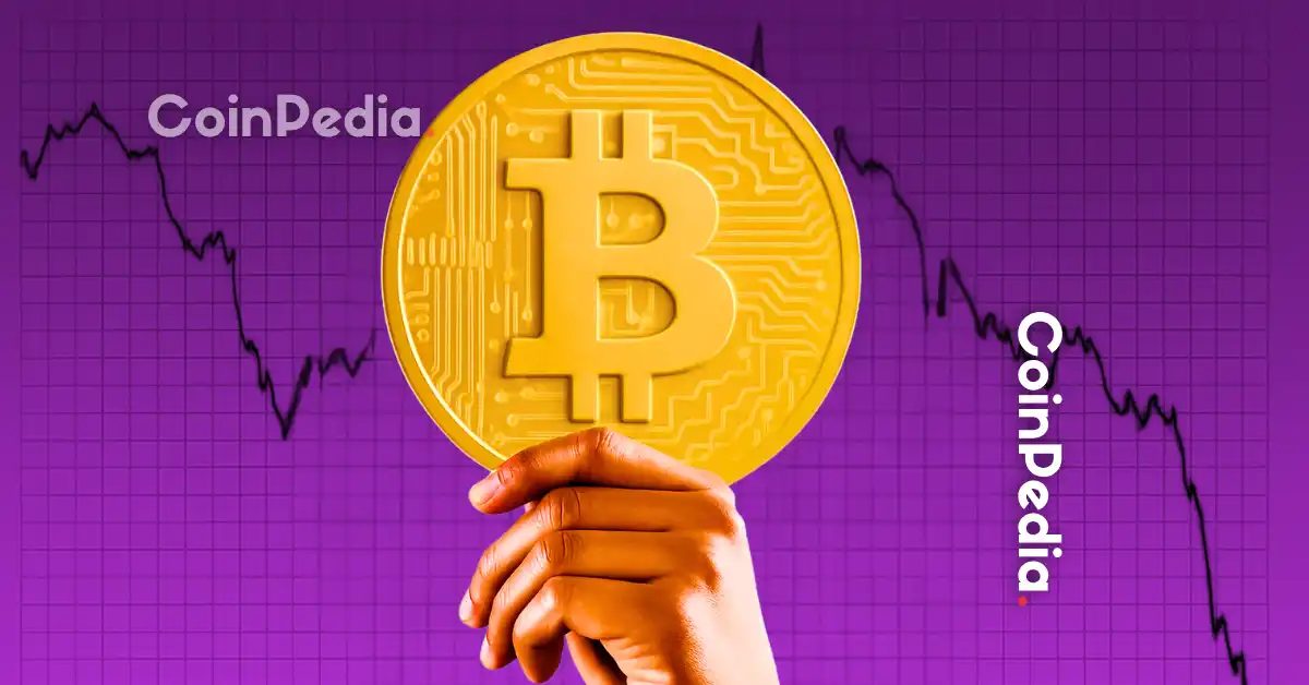 Analyzing the Recent Price Decline