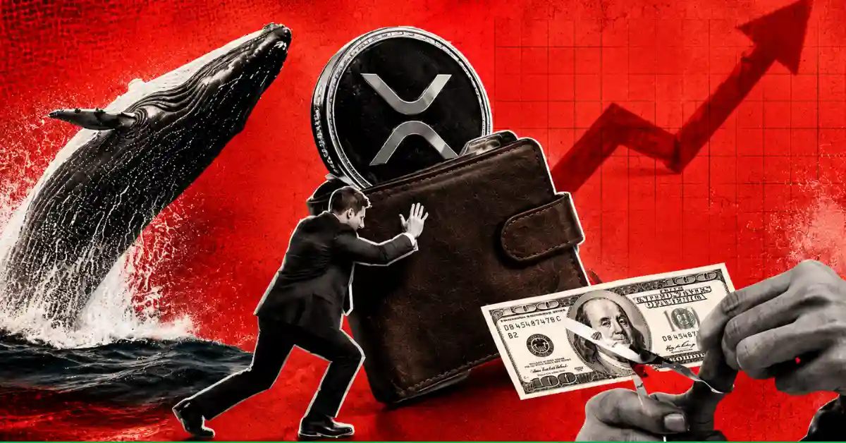 Corporate, Fund, and Treasury Ownership