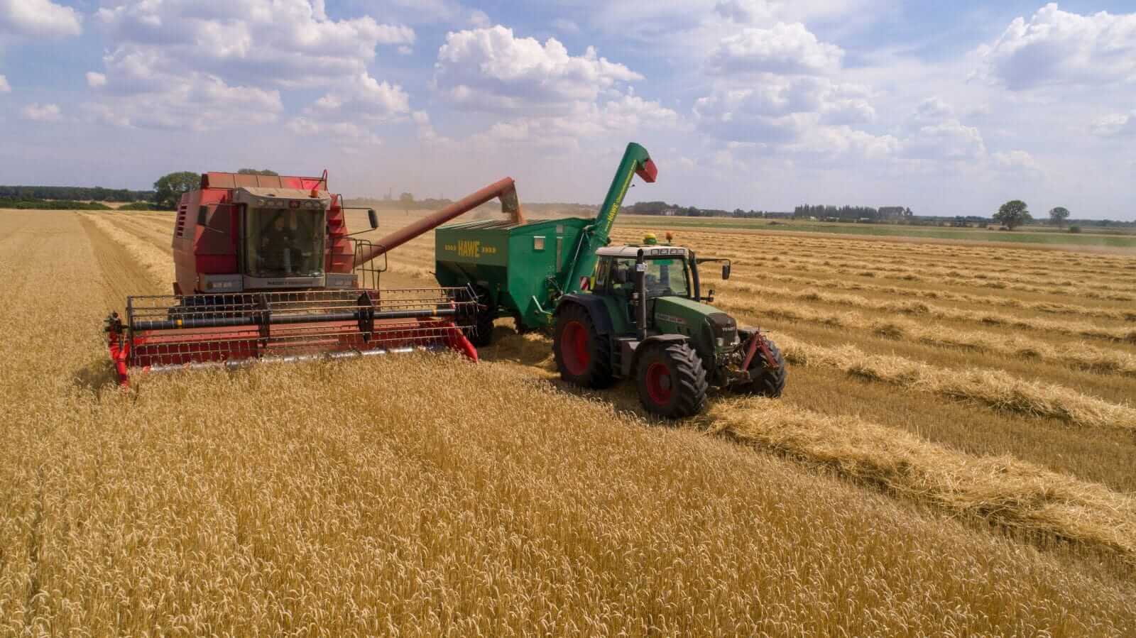 Wheat Fades Lower into the Weekend