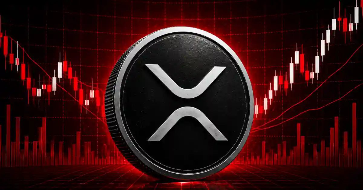 Canary Capital CEO Says XRP Will Win the Race for Financial Rails